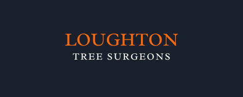 Loughton Tree Surgeons